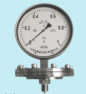 布萊迪衛(wèi)生型卡盤(pán)隔膜表 高潔凈應(yīng)用中的精準(zhǔn)壓力監(jiān)測(cè)專家
